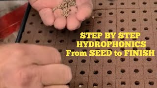 Hydroponic Seed to Finish STEP BY STEP [upl. by Einitsed]