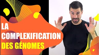 COURS DE TERMINALE SPÉCIALITÉ SVT  CHAP3 LA COMPLEXIFICATION DES GÉNOMES Bio Logique [upl. by Jessabell8]