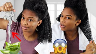 How To Use Aloe Vera For Fast Natural Hair Growth [upl. by Partridge575]