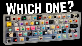 How to Choose the Perfect Switch For YOU [upl. by Ttehc242]