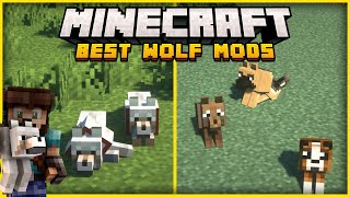 10 Great Minecraft Mods that Change Wolves [upl. by Hakim]