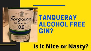 Tanqueray Alcohol Free Gin Nice or Nasty [upl. by Howlond498]