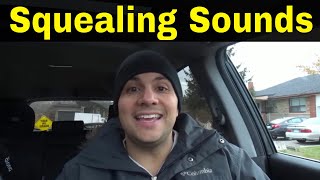 Why Do Cars Make Squealing Sounds5 Common Reasons [upl. by Alekin114]