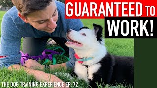 The Complete Guide to Potty Training Your Puppy [upl. by Airetnohs652]