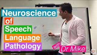 Neuroscience of Speech Language Pathology SLP [upl. by Hilton654]