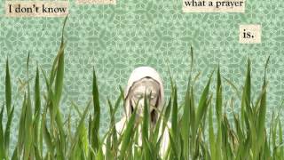 The Summer Day Animated Poem By Mary Oliver [upl. by Enelegna]