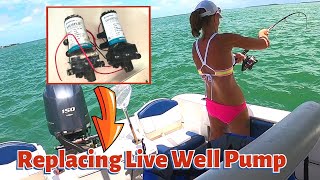 Replacing Live Well  Wash Down Pump on a ROBALO [upl. by Riley]