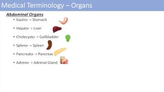 Medical Terminology  The Basics  Lesson 1 [upl. by Frederik596]