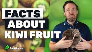 Top 7 Facts About Kiwi Fruit [upl. by Nutsud]