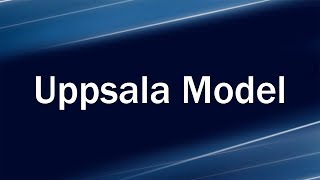 Uppsala Model In Internationalizing [upl. by Tenaj]