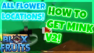 How to get MINK V2 Race in Blox Fruits ALL FLOWERS Location ROBLOX [upl. by Stein667]