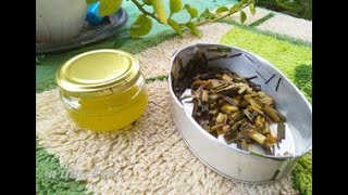 How to Make Homemade Citronella Oil [upl. by Eiznyl593]