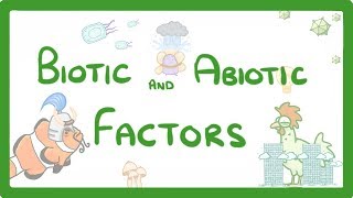 GCSE Biology  Biotic and Abiotic Factors 83 [upl. by Pomcroy131]