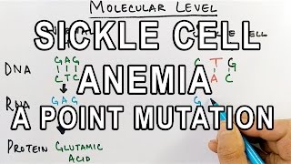 Sickle Cell Anemia  Molecular Mechanism [upl. by Alcock]