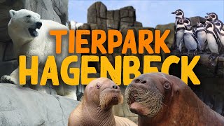 Tierpark Hagenbeck in Hamburg  ZooEindruck [upl. by Ordnas276]