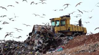 Landfill facts and statistics  A global problem [upl. by Evangelist717]