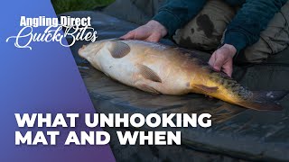 What Unhooking Mat And When  Carp Fishing Quickbite [upl. by Sirroned970]