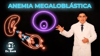 Anemia Megaloblástica  Etiología  Fisiopatología [upl. by Lednic]