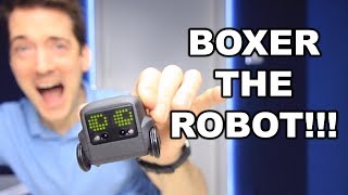 BOXER ROBOT UNBOXING AND REVIEW [upl. by Mathur81]