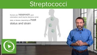 Streptococci – Microbiology  Lecturio [upl. by Ahtnama]