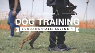 DOG TRAINING FUNDAMENTALS LESSON 1 [upl. by Hannus]