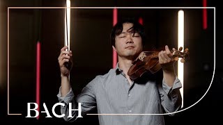 Bach  Violin Sonata no 3 in C major BWV 1005  Sato  Netherlands Bach Society [upl. by Aicnetroh]