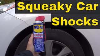 How To Fix Squeaky Car ShocksEASY Repair For A Vehicles Suspension [upl. by O'Donnell366]