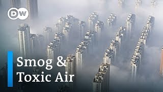 How much does smog and air pollution shorten our lives  DW News [upl. by Liesa]