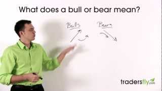 What Does a Bull and Bear Mean in the Stock Market [upl. by Harmony]