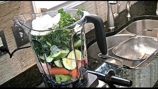 Vitamix Professional Series 750 Blender review [upl. by Vine586]