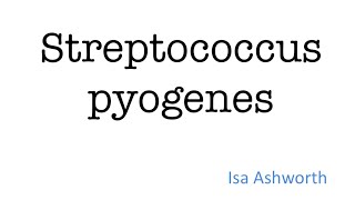 Streptococcus pyogenes  Microbiology for Medical Students [upl. by Aissac]