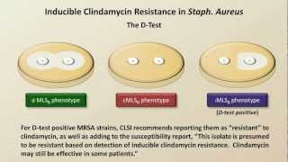 Antibiotic Resistance Antibiotics  Lecture 9 [upl. by Nirak]