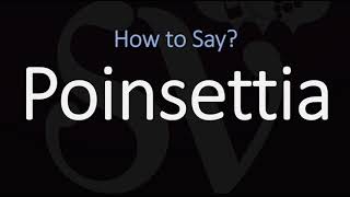 How to Pronounce Poinsettia CORRECTLY [upl. by Danyette]