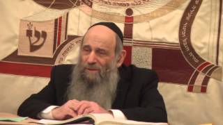 Is Anything in McDonalds Kosher  Ask the Rabbi Live with Rabbi Mintz [upl. by Jerusalem189]