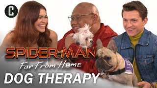 Tom Holland Zendaya and Jacob Batalon Play with Therapy Dogs [upl. by Vanny]