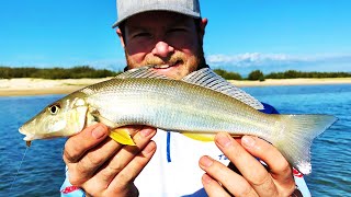 How to fish the Estuary’s catch amp clean [upl. by Ruphina]