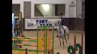 Showjumping  Pony of the Year 2013 [upl. by Aleac]