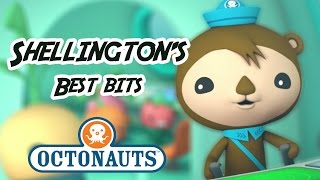 Octonauts  Shellington Sea Otter  60 minutes  Character Best Bits [upl. by Llennyl]