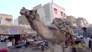 BIKANER  Old City  Exotic Rajasthan [upl. by Aicilanna490]