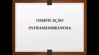 Histologia ossificação intramembranosa [upl. by Aimee903]