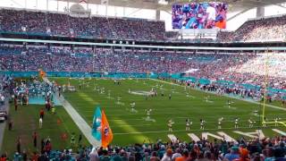 At the Miami Dolphins game  everyone singing the fight song [upl. by Selmore200]