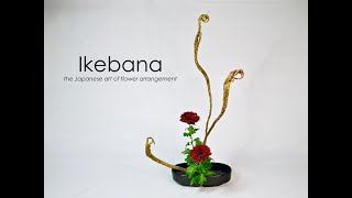 Ikebana Howto the Taterukatachi stepbystep [upl. by Boone]