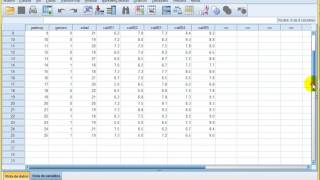 Prueba T Student para muestras relacionadas [upl. by Cull554]