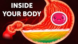 A Journey Inside Your Body [upl. by Anilak181]