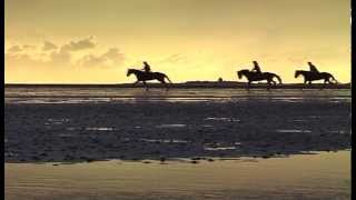 UNESCO Weltnaturerbe Wattenmeer  Nordseeheilbad Cuxhaven [upl. by Knowland237]