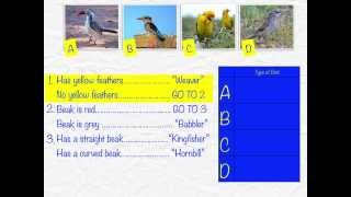 Using Dichotomous Keys [upl. by Ross718]