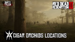 RDR2 All Cigar Orchid Locations Red Dead Redemption 2 [upl. by Nacul]