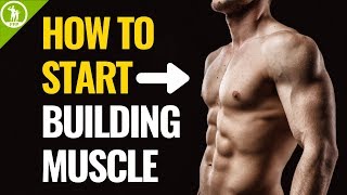 How To Start Building Muscle For Beginners [upl. by Mari]