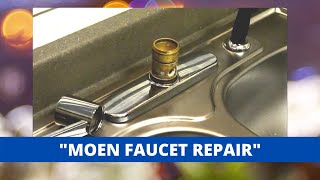 Moen Style Kitchen Faucet Repair [upl. by Aerol]