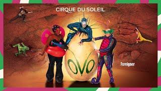 OVO  Cirque du Soleil Soundtrack Album [upl. by Refenej188]